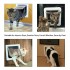 Insulated Dog Door Patio & Interior