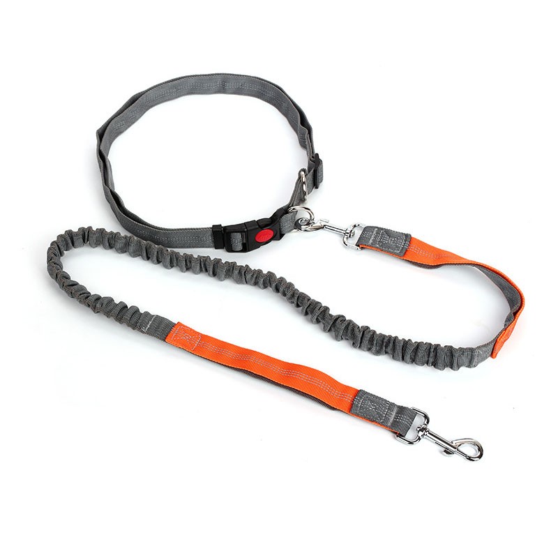Breathable Waist Running Dog Leash Bungee Adjustable Night Visible