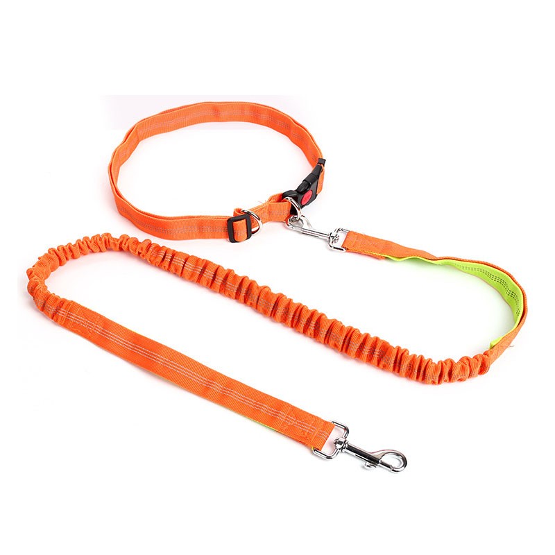 Hands Free Comfortable Running Dog Leash Thick Nylon Portable 2 Handles