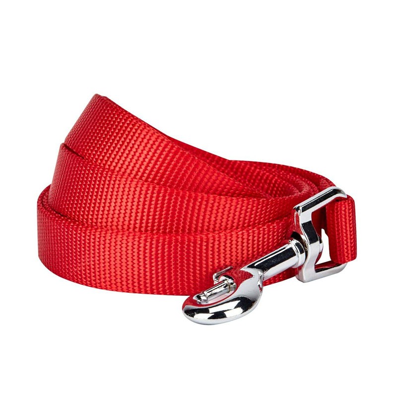 Cute Lightweight Small Dog Leash Bright Color Reliable Design