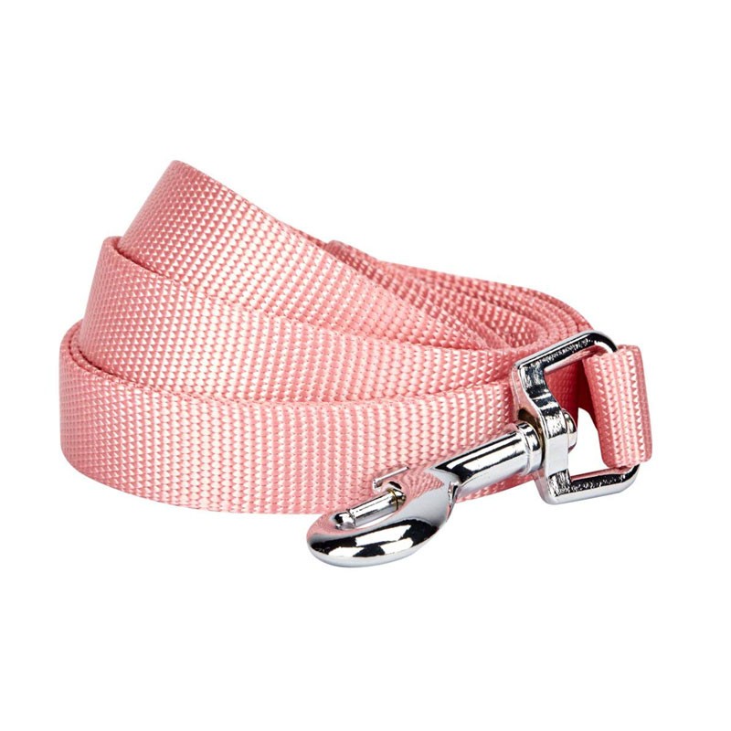 lightweight dog leash