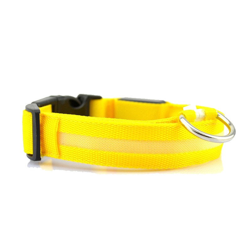 Waterproof Lightweight Light Up Dog Collar Ultra Bright Safe Choice
