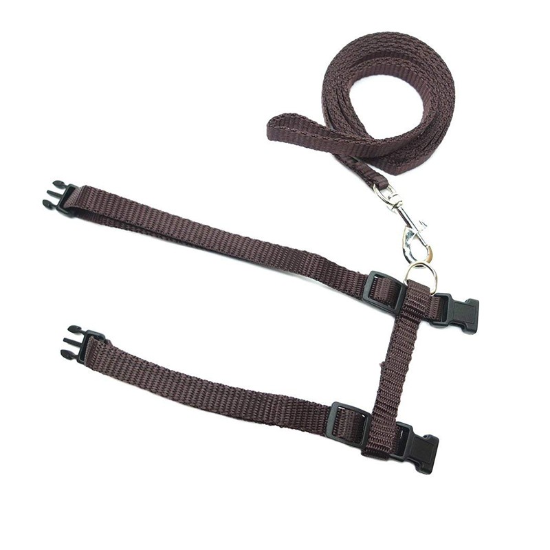 Gentle Lead Cat Walking Harness with Adjustable Straps for Comfortable Fit