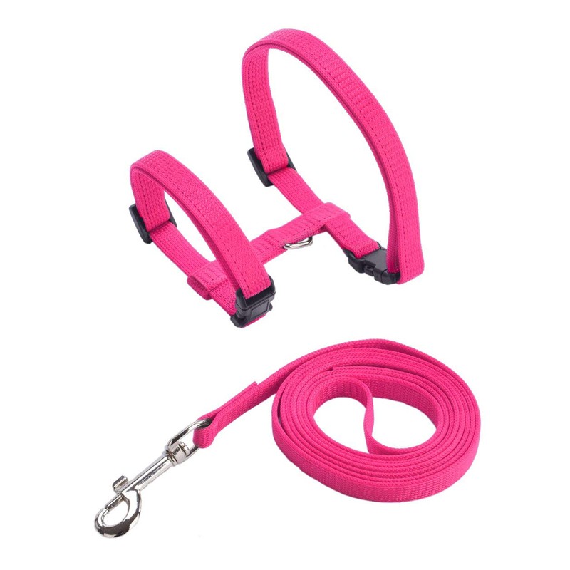 Chew Proof Cat Walking Harness with Durable Material for Consistent Use