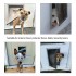 metal dog door