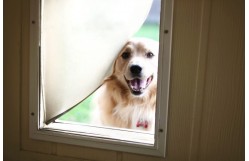 4 Easy Steps to Help You Install a Dog Door