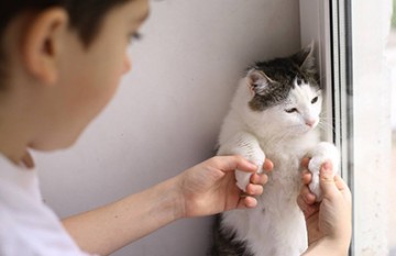 What Can I Do about My Cat Peeing On The Bed?