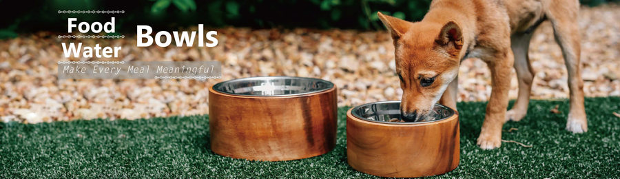 Food & Water Bowls