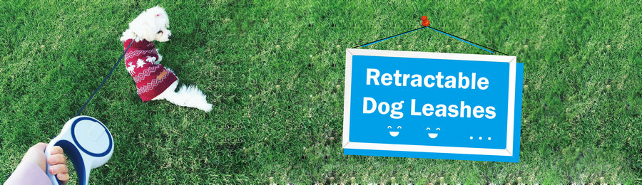 retractable dog leash for yard