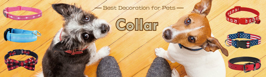LED & Reflective Dog Collars