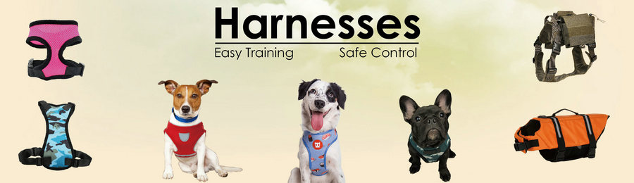 Pet Harness