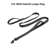 Reflective 2 Soft Handles Heavy Duty Dog Leash Extra Control Durable Webbing Reflective 2 Soft Handles Heavy Duty Dog Leash Extra Control Durable Webbing
