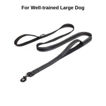 Reflective 2 Soft Handles Heavy Duty Dog Leash Extra Control Durable Webbing